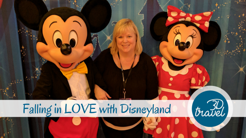 Falling-in-Love-with-Disneyland-Cover